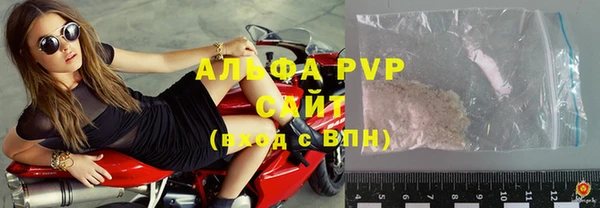 прущие крисы Ельня