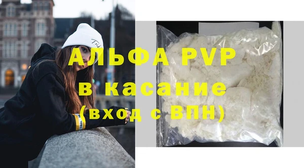 прущие крисы Ельня