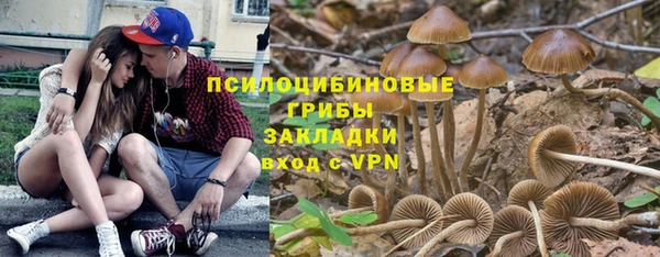 гидра Заводоуковск