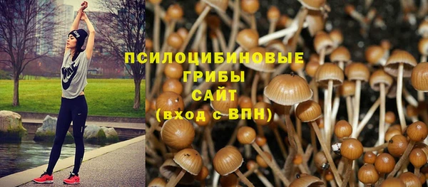 экстази Елабуга