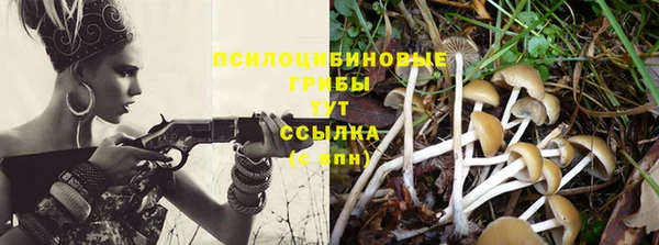 прущие крисы Ельня