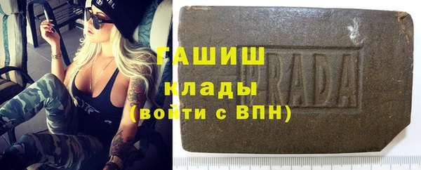 гидра Заводоуковск