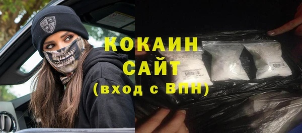 прущие крисы Ельня