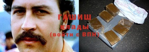 гидра Заводоуковск