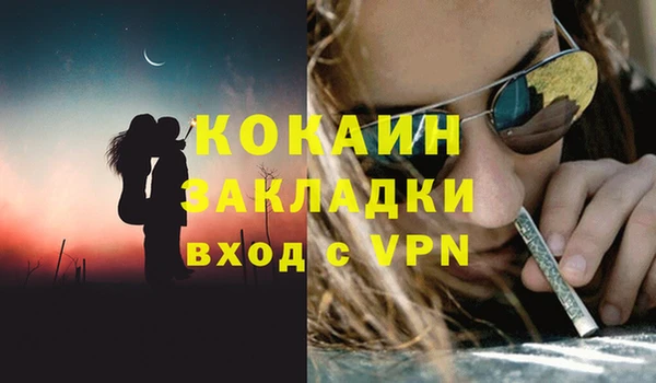 прущие крисы Ельня