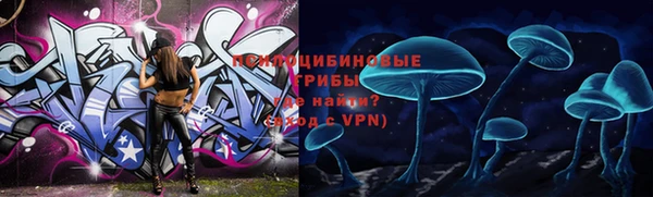 метамфетамин Елизово