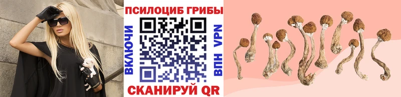 Галлюциногенные грибы Cubensis  Смоленск 